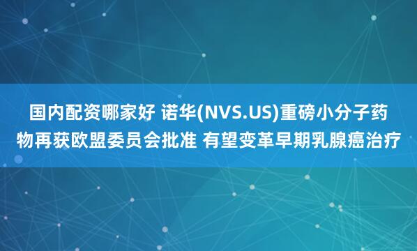 国内配资哪家好 诺华(NVS.US)重磅小分子药物再获欧盟委员会批准 有望变革早期乳腺癌治疗