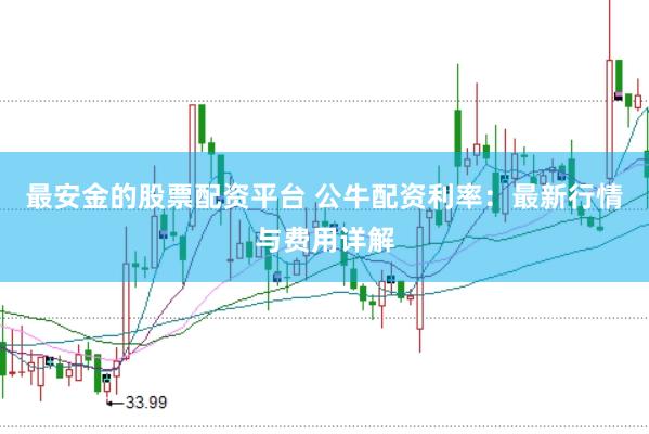 最安金的股票配资平台 公牛配资利率:最新行情与费用详解