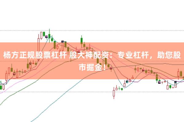 杨方正规股票杠杆 股大神配资：专业杠杆，助您股市掘金！