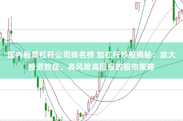 国内股票杠杆公司排名榜 加杠杆炒股揭秘：放大投资效应，高风险高回报的股市策略