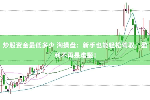 炒股资金最低多少 淘操盘:新手也能轻松驾驭,盈利不再是难题!