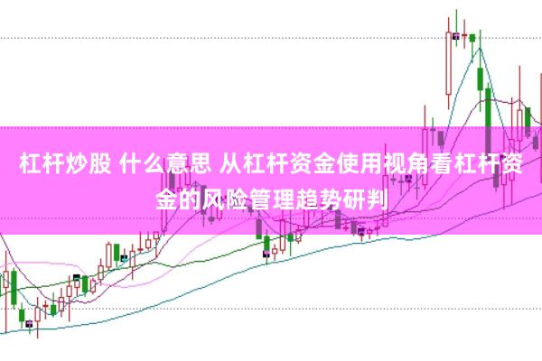 杠杆炒股 什么意思 从杠杆资金使用视角看杠杆资金的风险管理趋势研判