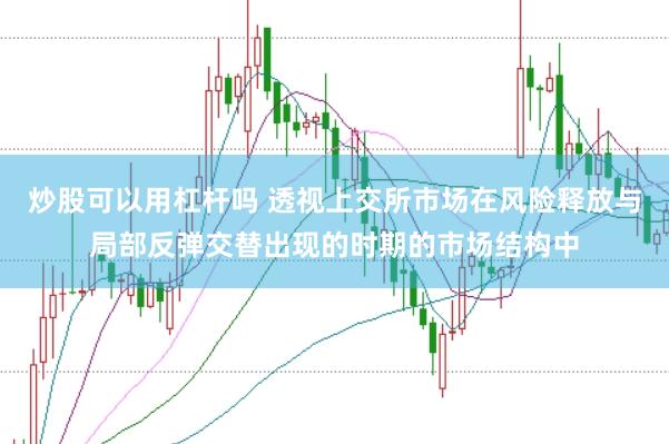 炒股可以用杠杆吗 透视上交所市场在风险释放与局部反弹交替出现的时期的市场结构中