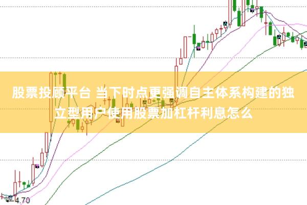 股票投顾平台 当下时点更强调自主体系构建的独立型用户使用股票加杠杆利息怎么