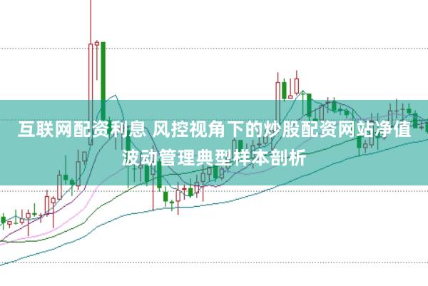 互联网配资利息 风控视角下的炒股配资网站净值波动管理典型样本剖析