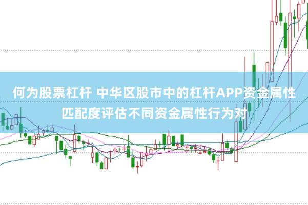 何为股票杠杆 中华区股市中的杠杆APP资金属性匹配度评估不同资金属性行为对