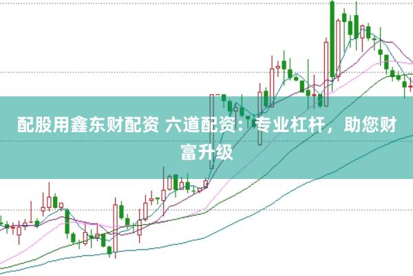 配股用鑫东财配资 六道配资：专业杠杆，助您财富升级