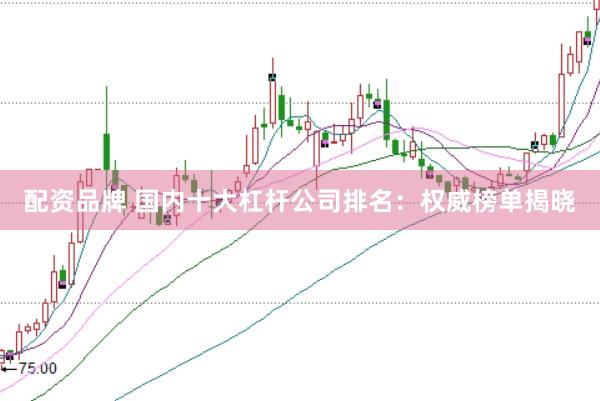配资品牌 国内十大杠杆公司排名：权威榜单揭晓