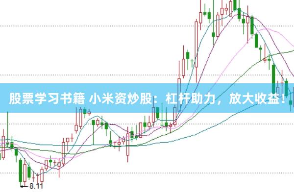 股票学习书籍 小米资炒股：杠杆助力，放大收益！