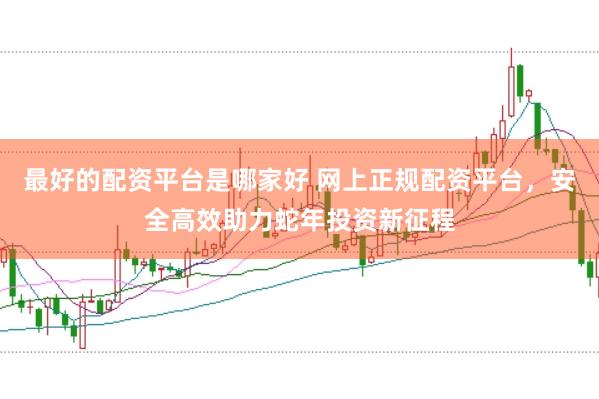 最好的配资平台是哪家好 网上正规配资平台，安全高效助力蛇年投资新征程