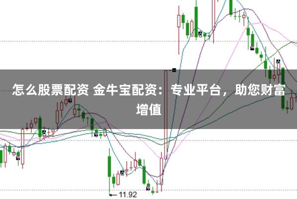 怎么股票配资 金牛宝配资：专业平台，助您财富增值