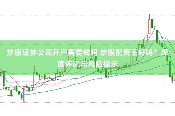 炒股证券公司开户需要钱吗 炒股配资王好吗？深度评测与风险提示