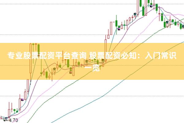 专业股票配资平台查询 股票配资必知：入门常识一览