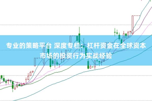 专业的策略平台 深度专栏：杠杆资金在全球资本市场的投资行为实战经验