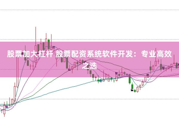 股票加大杠杆 股票配资系统软件开发：专业高效之选